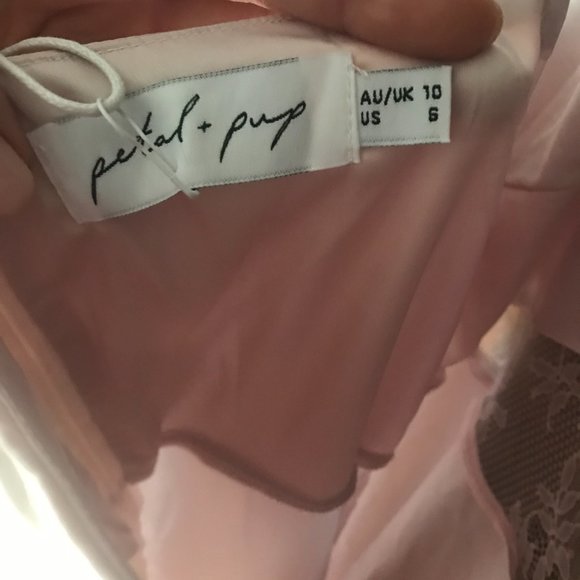 Petal & Pup Ariel Blush Satin Lace A-line Midi Tea Length Dress, NWT 6US - Picture 7 of 7